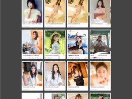 精品轻量级图片站群系统开源版,绿茶图片泛目录站群系统程序支持二开